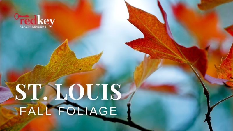 Where Fall Foliage Takes Center Stage | RedKey Realty Leaders
